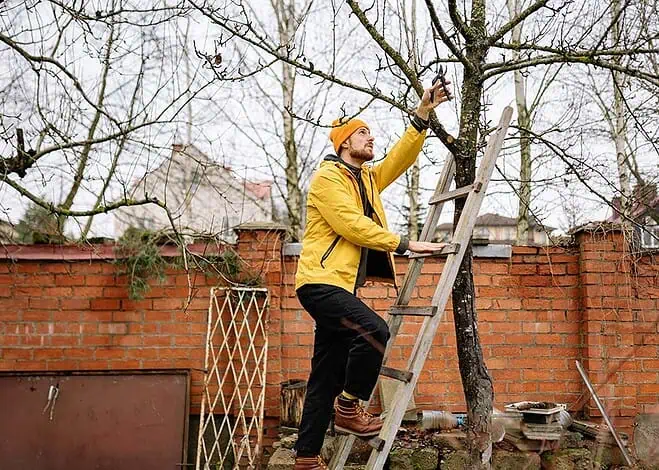 Wiosenne przycinanie drzew – jak ustawić drabinę na grząskim gruncie?