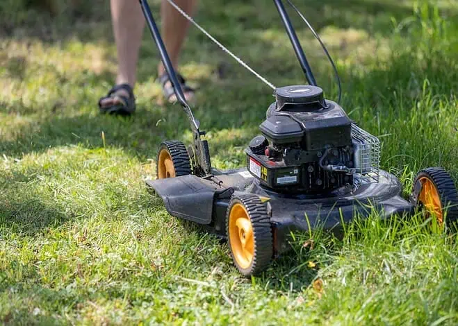 Chwasty w trawniku i ogrodzie – jak dobrać skuteczny środek i uniknąć błędów?