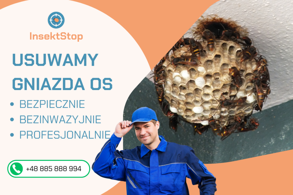 usuwanie gniazd os i szerszeni insektstop.pl
