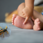 Gniazdo os lub szerszeni przy domu? Nie usuwaj go samodzielnie