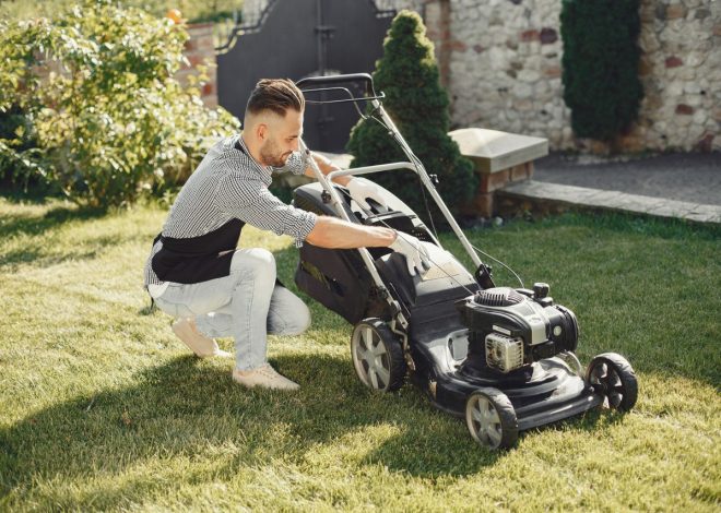 Kosiarki akumulatorowe do trawy i roboty koszące – które rozwiązanie najlepiej sprawdzi się w ogrodzie?